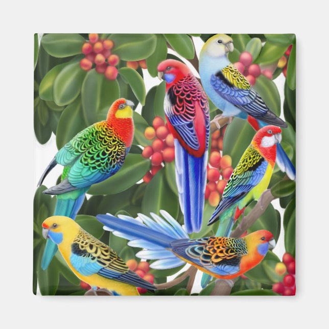 Imã Rosella Parrots em Fig Tree Magnet (Frente)