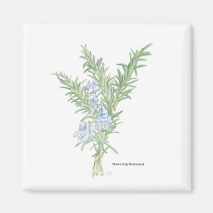 Imã Rosemary Flor