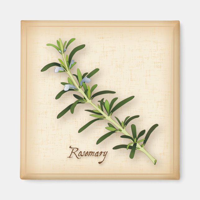 Imã Rosemary Herb (Frente)