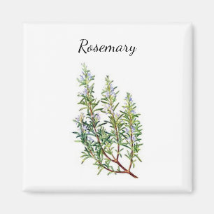 Imã Rosemary Herb Magnet