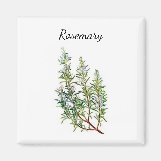 Imã Rosemary Herb Magnet (Frente)