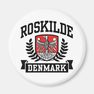 Imã Roskilde Dinamarca