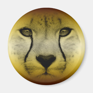 IMÃ ROSTO CHEETAH