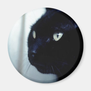 Imã Rosto de Gato Negro