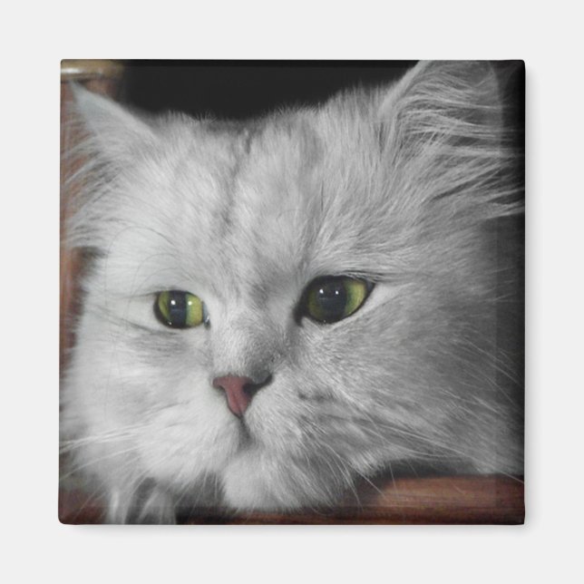 Imã Rosto de pele (Frente)