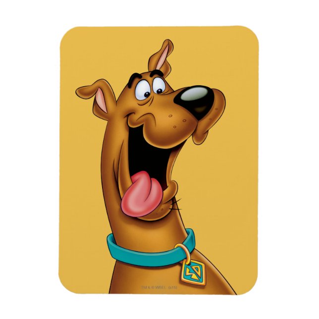 Ímã Rosto Scooby-Doo Excitado (Vertical)