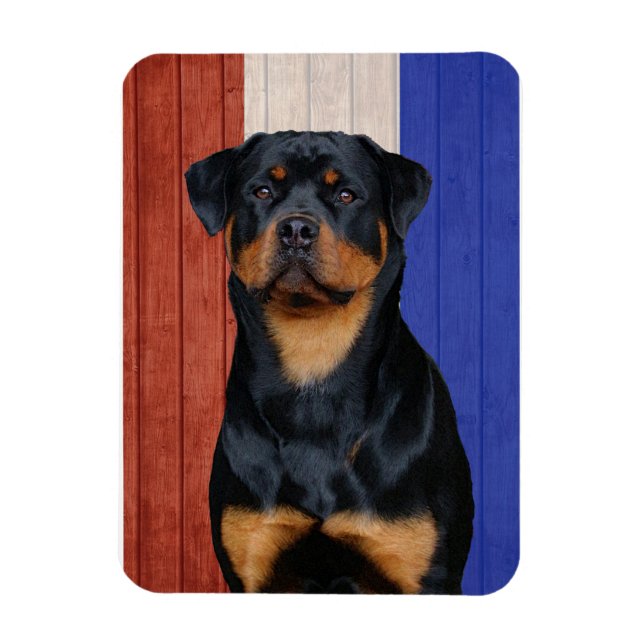 Ímã Rottweiler (Vertical)