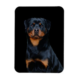 Ímã Rottweiler