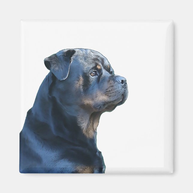Imã Rottweiler (Frente)
