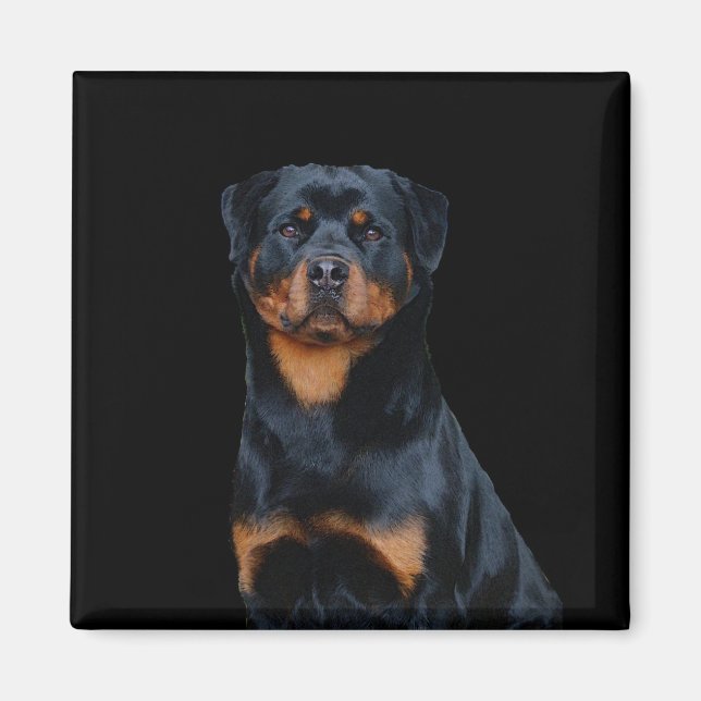 Imã Rottweiler (Frente)