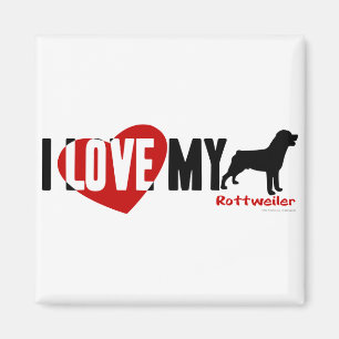 Imã Rottweiler