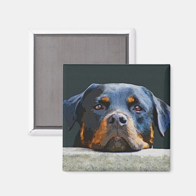 Imã Rottweiler (Front/Back)