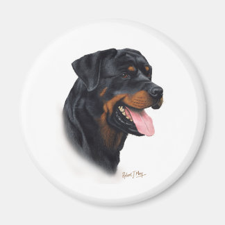 Imã Rottweiler