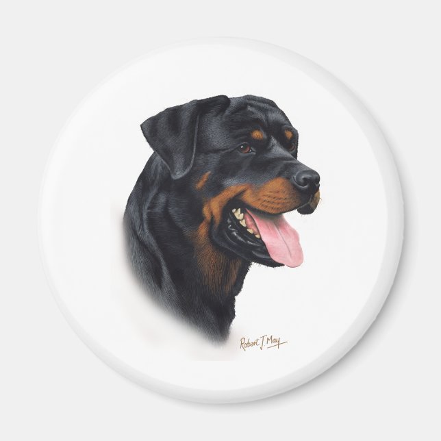 Imã Rottweiler (Frente)