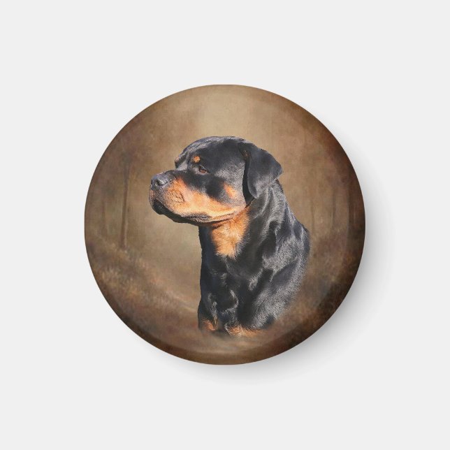 Imã Rottweiler (Frente)