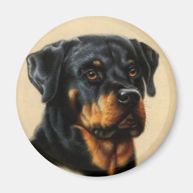 Imã Rottweiler (Frente)