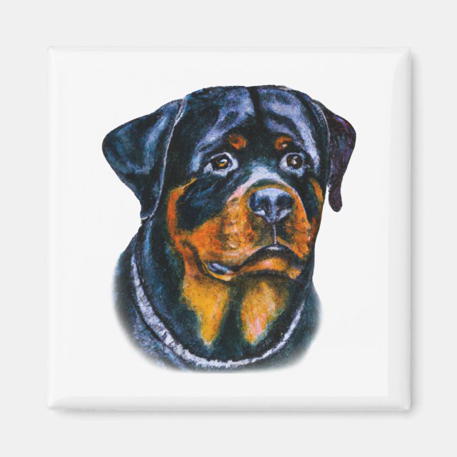 Imã Rottweiler de Aquarela (Frente)