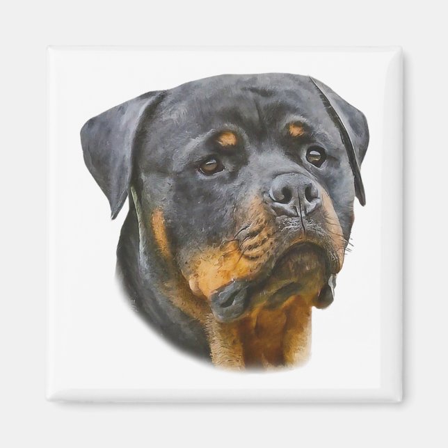 Imã Rottweiler de Aquarela (Frente)