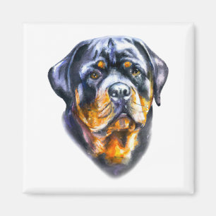 Imã Rottweiler de Aquarela