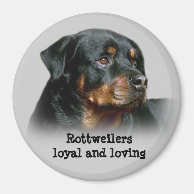 Imã Rottweiler Magnet (Frente)