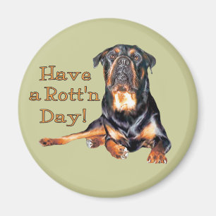 Imã Rottweiler tem um dia podre