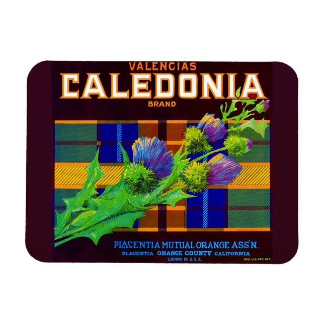 Ímã Rótulo da caixa laranja da Caledonia 1930 (Horizontal)