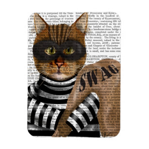 Ímã Rótulo de Gato