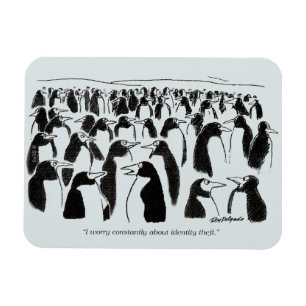 Ímã Roubo de identidade