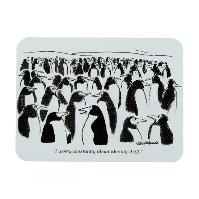 Ímã Roubo de identidade (Horizontal)