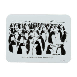 Ímã Roubo de identidade