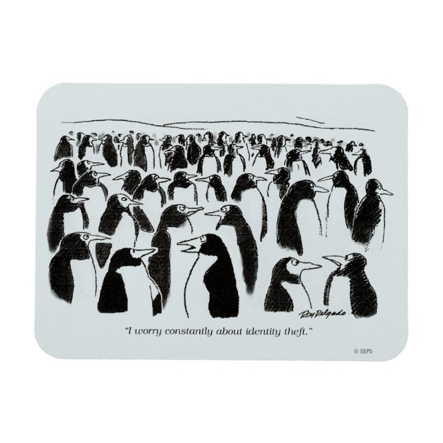 Ímã Roubo de identidade (Horizontal)