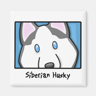 Imã Rouco Siberian quadrado dos desenhos animados