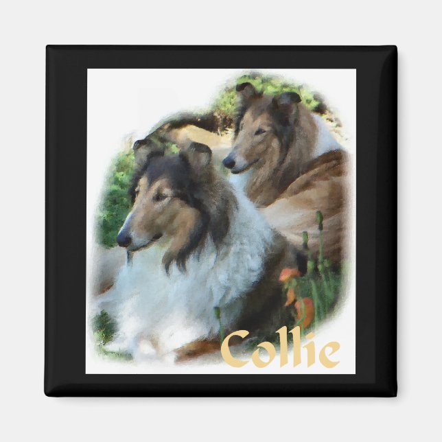 Imã Rough Collie Art Gifts (Frente)
