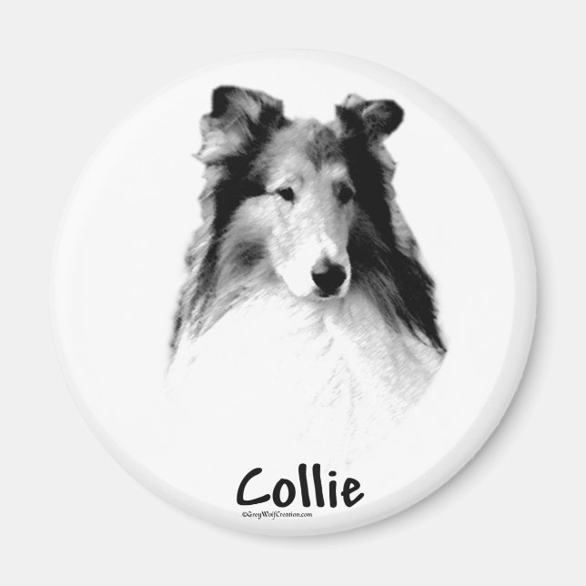 Imã Rough Collie Charcarbonis (Frente)