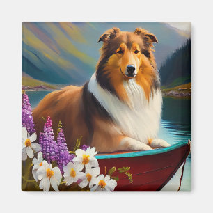 Imã Rough Collie em um Paddle: Uma Aventura Cênica