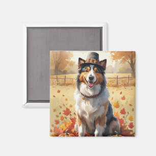 Imã Rough Collie no Outono Folhas de Ação de Graças Ar