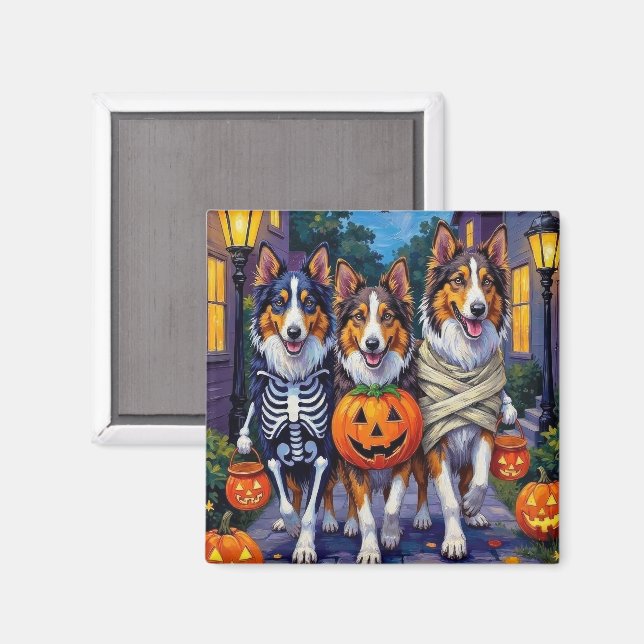 Imã Rough Collie Pedindo Doces Fantasias de Halloween (Front/Back)