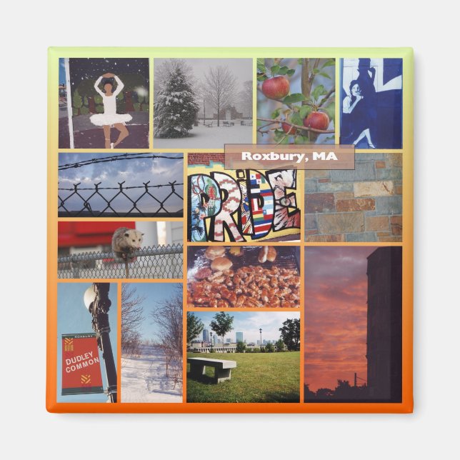 Imã Roxbury, Massachusetts Photo Collage 9958 (Frente)