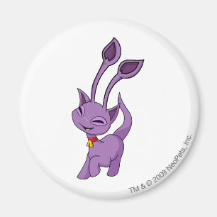 Imã Roxo de Aisha
