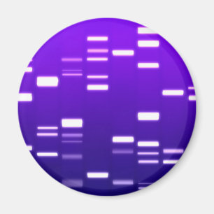 Imã Roxo do código genético do ADN