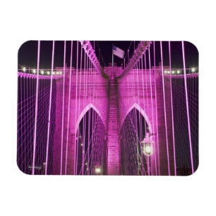 Ímã Roxo do Lit da ponte de Brooklyn