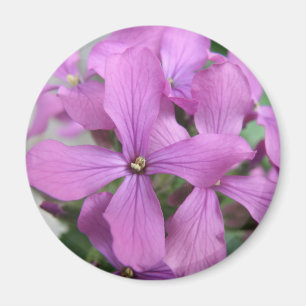Imã Roxo Flores Selvagens