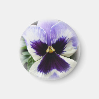 Imã roxo profundo em branco