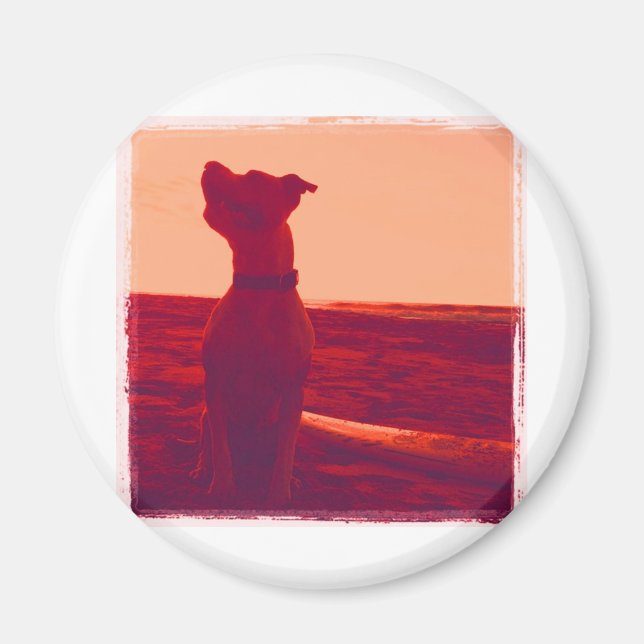 Imã Roxy Photo by Daniela (Frente)