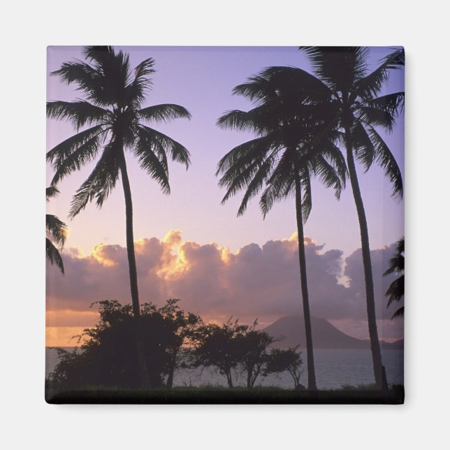 Imã Rua costeira. Gatinhos (Frente)