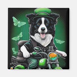 Imã Rua de bicicleta de condução de Cachorro Fronteiri