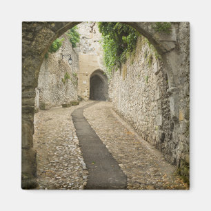 Imã Rua de paralelepípedos cinza, França