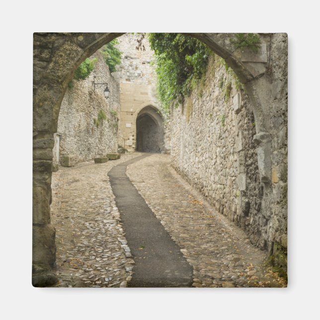 Imã Rua de paralelepípedos cinza, França (Frente)