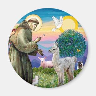 Imã Rua Francis e Llama Baby