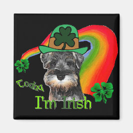 Imã Rua. Patricks Day Mini Schnauzer